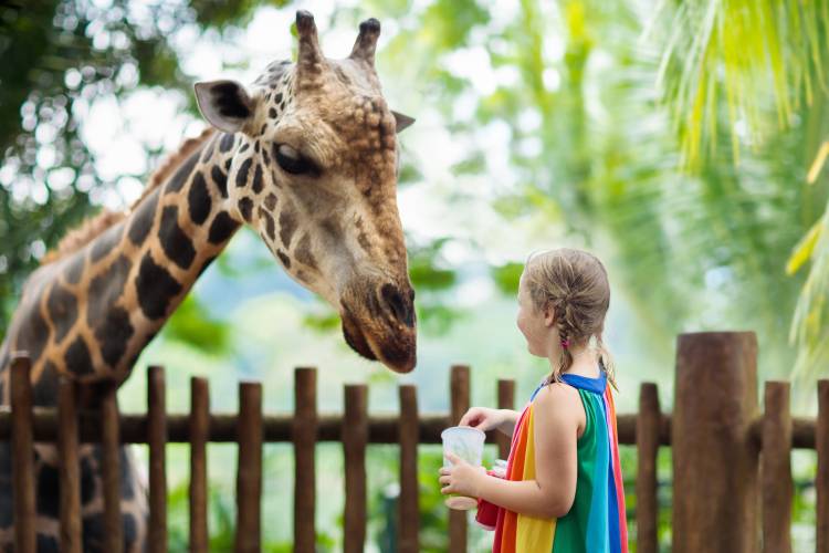 Zoo and Kid Friendly Activities in Santa Barbara