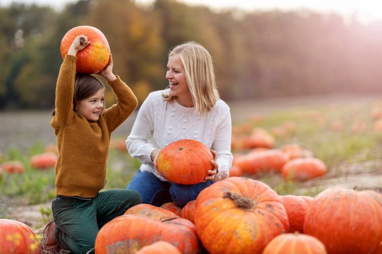 Lane Farms Pumpkin Patch