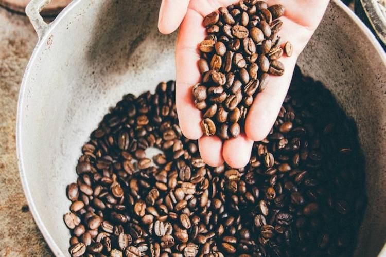 Santa Barbara Roasting Company (RoCo)