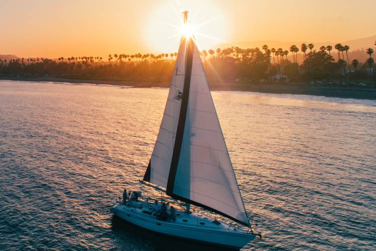 Sail Boat - Whale Watching in Santa Barbara - Sunset